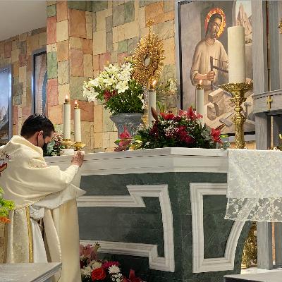 Homilías Dominicales