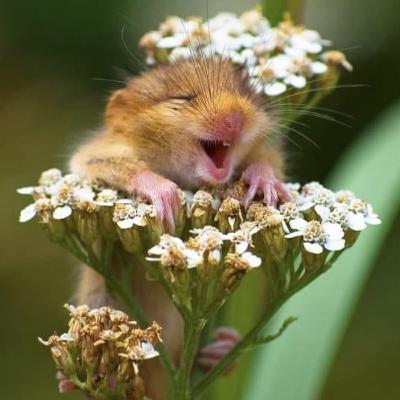 Episode 4 - Laurens Spills the Beans