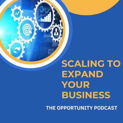 Scaling to Expand your Business