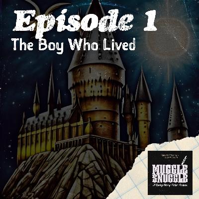 1-1 The Boy Who Lived: The First Steps on a Legendary Journey