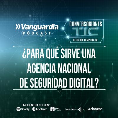 ¿Para qué sirve una Agencia Nacional de Seguridad Digital?