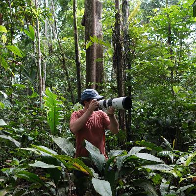 Our plans to create a Rewilding Documentary | Mossy Earth Podcast #2