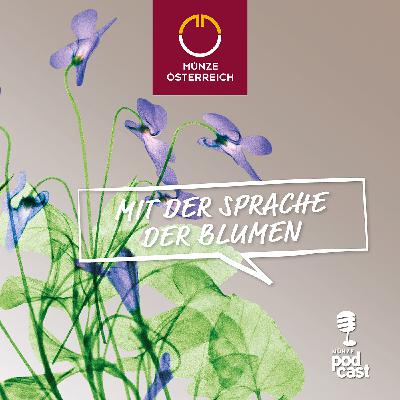 #52 Blaue Wunder