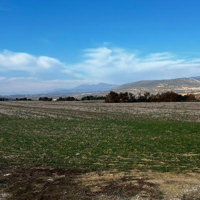 Episodio 47 - World Trail Majors