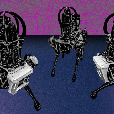 Robots With AI Also Need Physical Intelligence