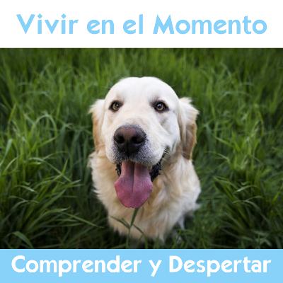 ¿Podemos vivir en este momento?
