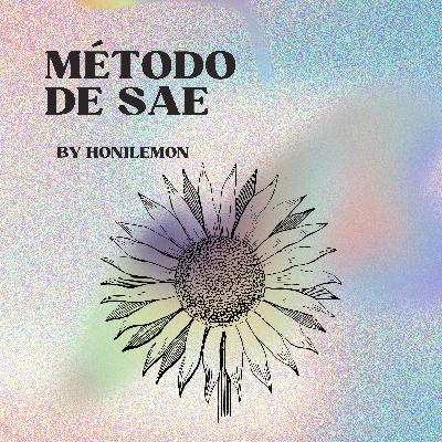 Método de sae - Honilemon