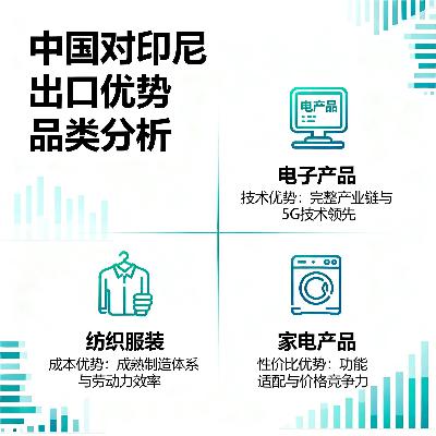 哪些中国品类在印尼天然有优势