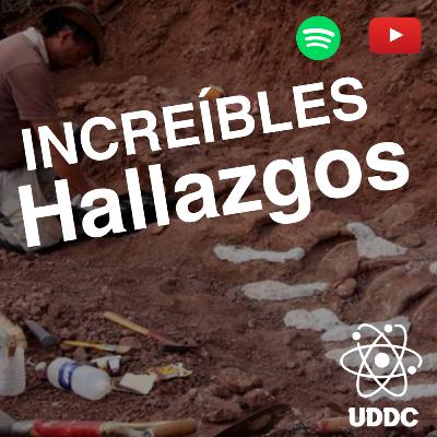 El dinosaurio más GRANDE de la historia es Argentino? | Un dato de color El dinosaurio más GRANDE de la historia es Argentino? | Un dato de color