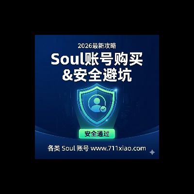 Soul账号购买后如何安全登录？防止秒封的核心技巧