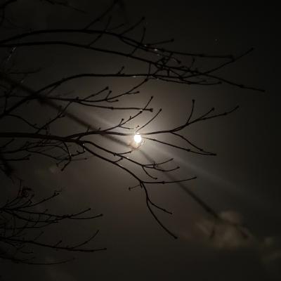 10 December 2025 10 December 2025