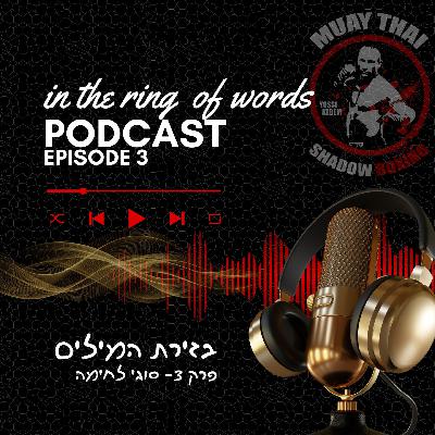 בזירת המילים - פרק 3- סוגי לחימה בזירת המילים - פרק 3- סוגי לחימה