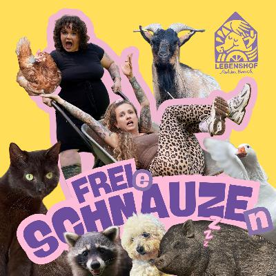 #1: JETZT MAL VON VORNE!