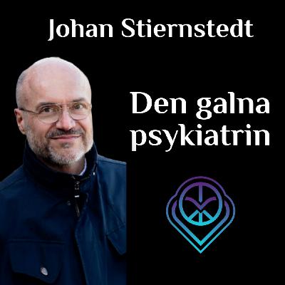 Johan Stiernstedt - Den galna psykiatrin
