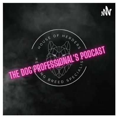 Ep8: Are you really being pro active, or actually re active when it comes to reactivity training?