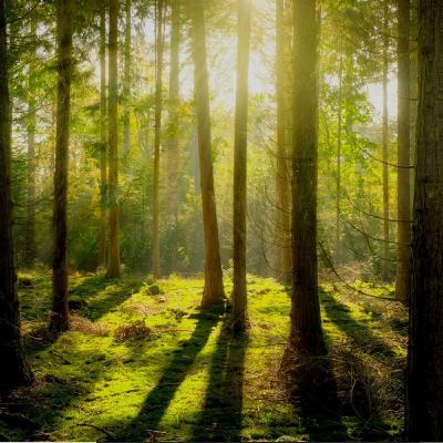 Episode 6 - Guy Hayler on The Business of Doing Right for the Planet Episode 6 - Guy Hayler on The Business of Doing Right for the Planet