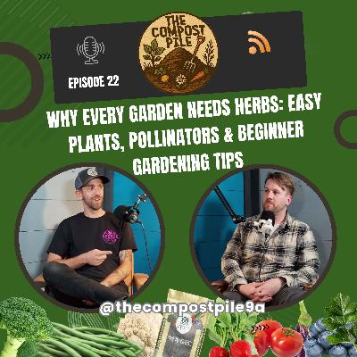 Why Every Garden Needs Herbs: Easy Plants, Pollinators & Beginner Gardening Tips