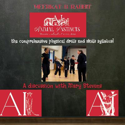 Meerkat & Rabbit: Physical Skills Training Day - A Discussion with Mary Stevens