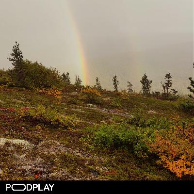 8. Ruskavaellus alkaa