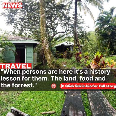 Ambassabeth Eco Lodge: The most peaceful place in Jamaica