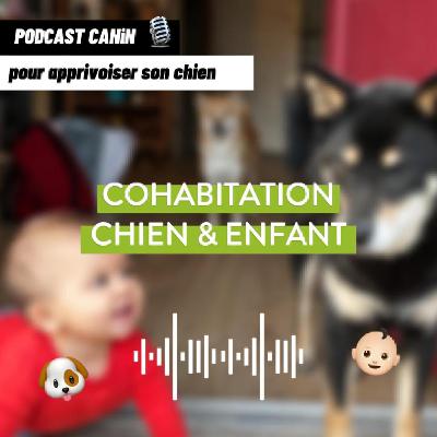 [S2 - Ep 3] Cohabitation Chien & Enfant