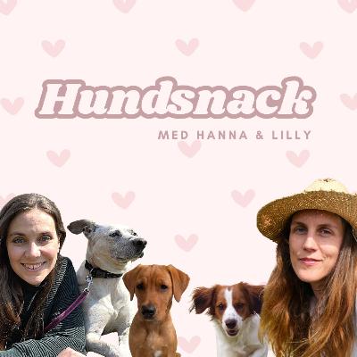 55. Välja hundras