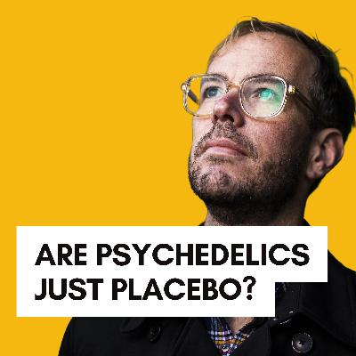 The Science & Spirituality of Psychedelics with Michiel van Elk