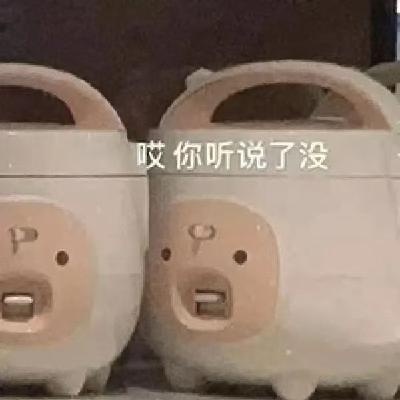 2025年内娱演技大盘点：一年一度从夯到拉大赏