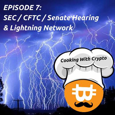 007: 2018 Prices, SEC/CFTC/Senate Hearing, and the Lightning Network 007: 2018 Prices, SEC/CFTC/Senate Hearing, and the Lightning Network