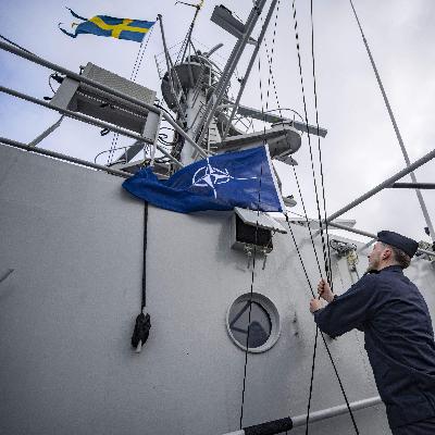 Top Swedish General: NATO 'heeding the call' on its new reality