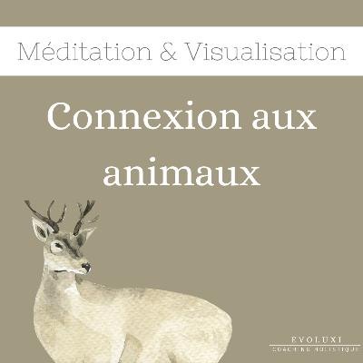 Méditation | Connexion aux animaux 🦊