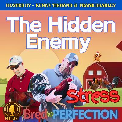 Ep277 - The Hidden Enemy - Understanding and Managing Stress in Our Fowl Ep277 - The Hidden Enemy - Understanding and Managing Stress in Our Fowl