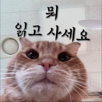 뭐 읽고 사세요? 뭐읽사 4회 혹은 연말 결산 : 미술관에서 우리가 놓친 것들, 그해 봄의 불확실성, 보도블럭 아래 해변
