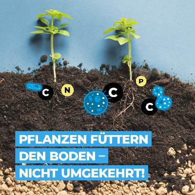 Pflanzen füttern den Boden – nicht umgekehrt