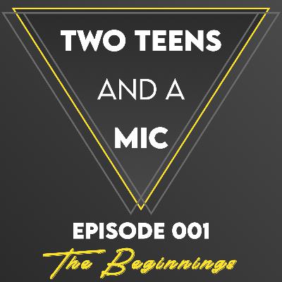 The Beginnings The Beginnings