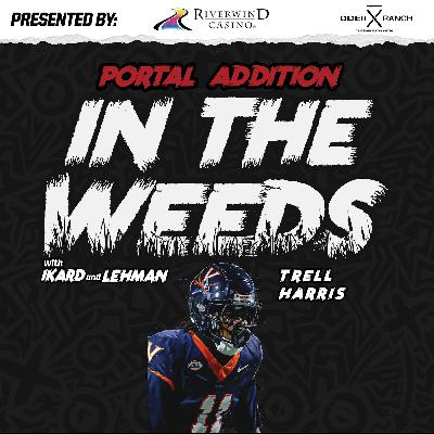 "In the Weeds": OU Football Wide Receiver  Transfer Trell Harris