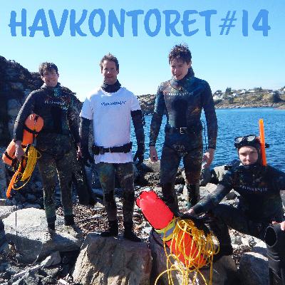 Havkontoret 14 - Fridykkerkurs