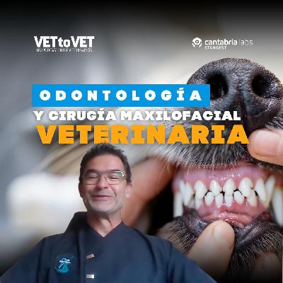 Odontología y Cirugía Maxilofacial Veterinaria E5 Podcast Vet to Vet
