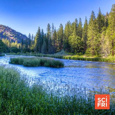 The Story Behind The Largest Dam Removal In U.S. History