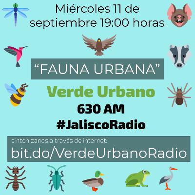 08. FAUNA SILVESTRE URBANA / EDGAR RAMÍREZ / 11 SEPTIEMBRE 2019 08. FAUNA SILVESTRE URBANA / EDGAR RAMÍREZ / 11 SEPTIEMBRE 2019