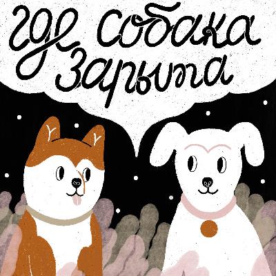 Мифы о собаках, которые нужно знать всем