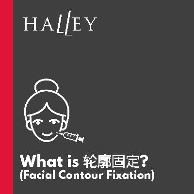 What is Facial Contour Fixation (轮廓固定)?