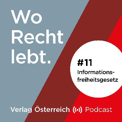 #11 Das Informationsfreiheitsgesetz mit Georg Miernitzki und Christian F. Schneider