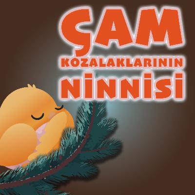 MİNİK KUŞ'UN GÜNLÜĞÜ: ÇAM KOZALAKLARININ NİNNİSİ - UYKU ÖNCESİ MASAL VE NİNNİ