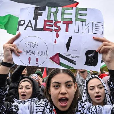 Where are the protesters now?