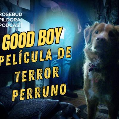 No mires a tu perro igual después de ver GOOD BOY