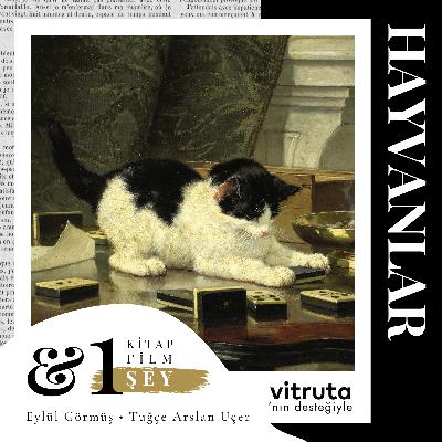 #S5E12 - Hayvanlar: Bize Bakan Gözler