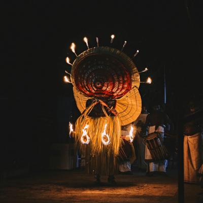 Sovereign Carbon Credits: Impact on Voluntary Markets and Price Realities