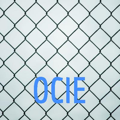 What's in the basement