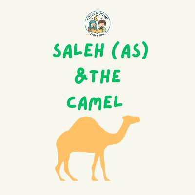 Saleh (as) and the Camel